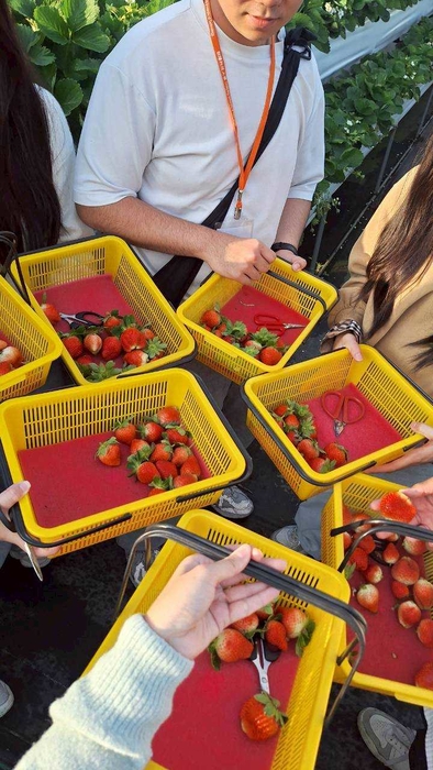 2025.12.20 114學年度第1學期僑生文化之旅–鐵道漫騎×古味老街探索圖片