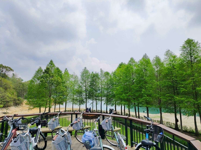 2026.04.18 Chaoyang Nantou Cultural Tour (Second Group, One-Day Trip)Image